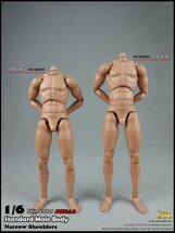 cjx165★COOMODEL1 / 6標準ボディタイプ男性ボディ2.0バージョン標準BD001_画像1