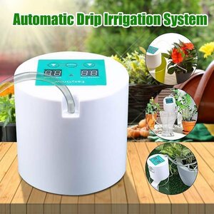 cjx88* automatically comfortably automatic waterer watering vessel plant decorative plant gardening bonsai succulent plant timer 