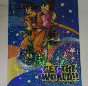 カカベジ◆カカロット×ベジータ「get the world!!」送料無料