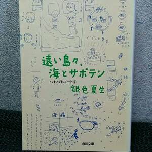 い島々、海とサボテン―つれづれノート〈4〉 銀色夏生 (角川文庫)