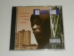 CD ビッグ・ダディ・ケイン Big Daddy Kane『Looks Like A Job For...』