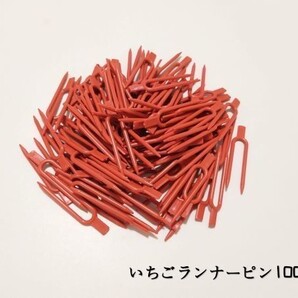 いちごのランナーピン 100本セット