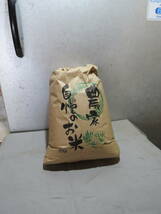 令和3年茨城県産コシヒカリ　玄米 10㎏　農家直送　低温貯蔵庫　　　　送料無料　_画像3