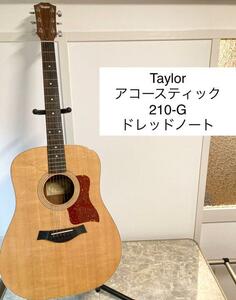 Taylor テイラー アコギ 210-G ドレッドノート