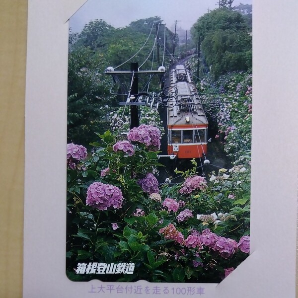 未使用テレホンカード 箱根登山鉄道