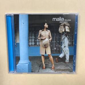 送料無料 マリア「YELLOW DAFFODILS」国内盤