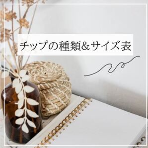 【展示用】チップの種類&サイズ表【展示用】