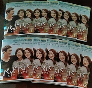 韓国ドラマ「バッドパパ」チャン・ヒョク主演 韓流 DVD 12枚全話 レンタル落ち品 2018年 ソン・ヨウン シン・ウンス