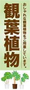 のぼり　ガーデン　観葉植物　おしゃれな観葉植物をご用意しています　のぼり旗