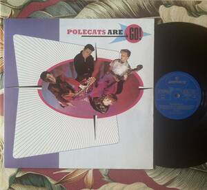 Polecats Are Go LP Germany Press ロカビリー