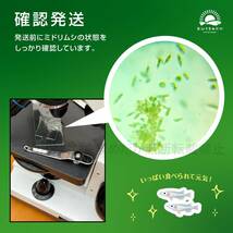 超濃縮　ミドリムシ　2000ml　めだか　メダカ　針子　エサ 稚魚 ベタ　psb　 金魚　ミジンコ　クロレラ　ゾウリムシ の培養ガイド付き_画像2