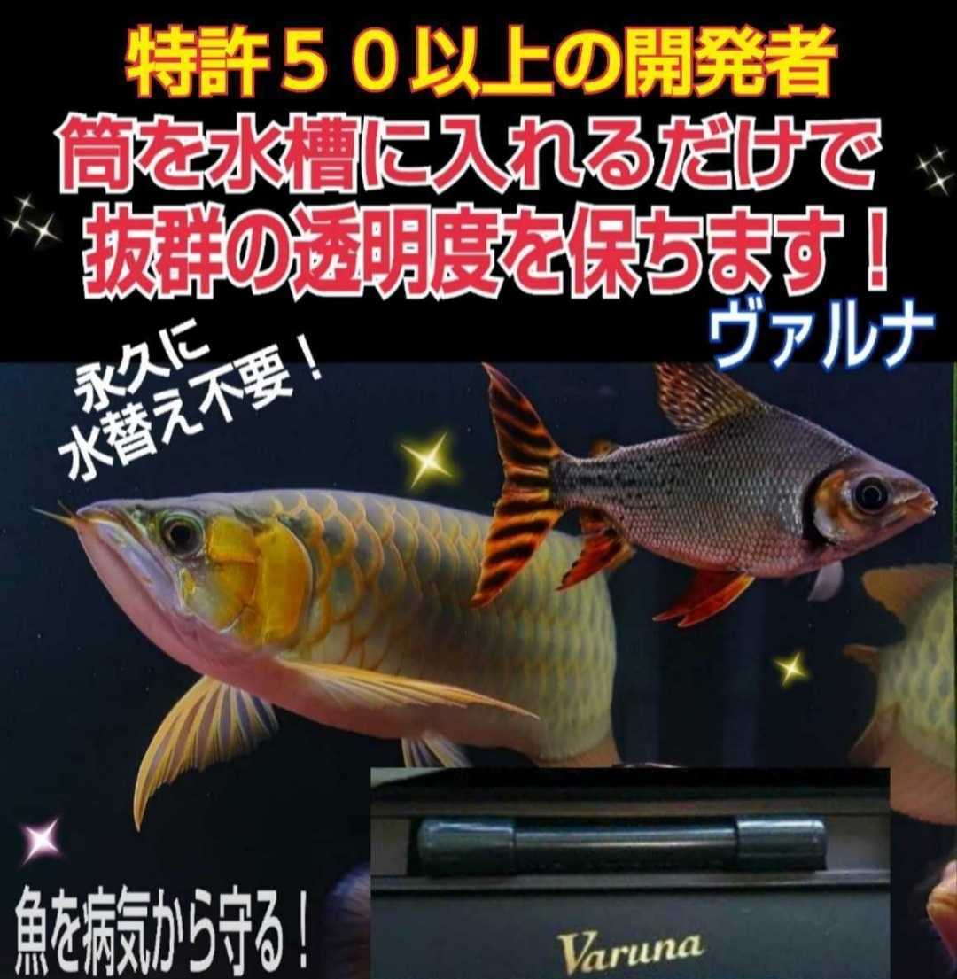 池の水質が抜群になります【ヴァルナ池用】病原菌や感染症など有害物質 ...