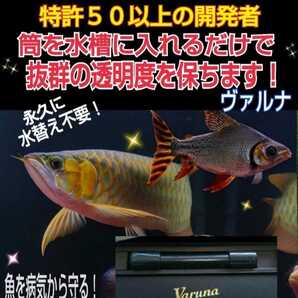 水質改善に!ヴァルナミニ23cm 筒を水槽に入れるだけで透明度がアップ!有害物質、病原菌も強力抑制します!環境改善の特許50以上の開発者