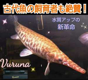 古代魚の飼育者も絶賛！水替え不要になる魔法の筒【ヴァルナミニ23cm】透明度抜群に！有害物質、病原菌も強力抑制☆特許400以上の開発者！