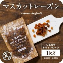 ドライ サンマスカットレーズン 1kg オーストラリア産 無添加 ドライ フルーツ レーズン オーガニック 有機 JAS 送料無料12310a_画像1