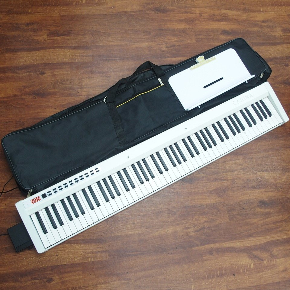 市場 CARINA電子ピアノ88鍵　carina AF0088C 弦楽器