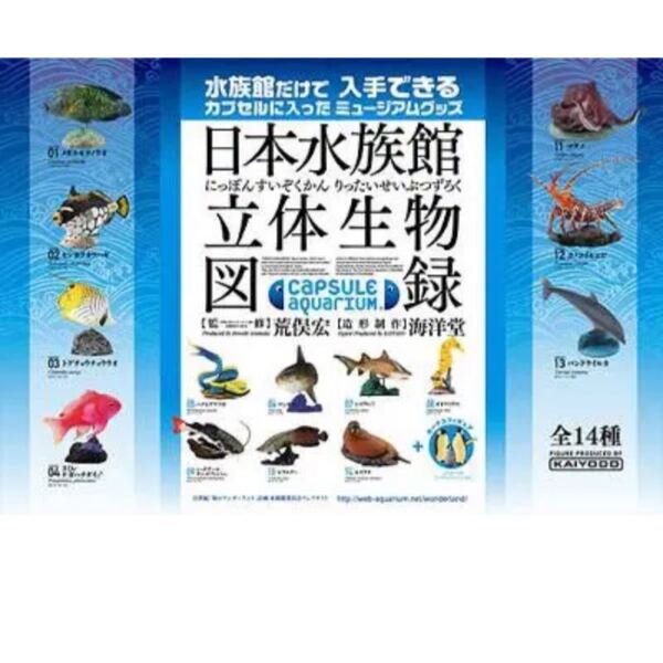 未開封多数 日本水族館立体生物図録 第1弾 フルコンプリート