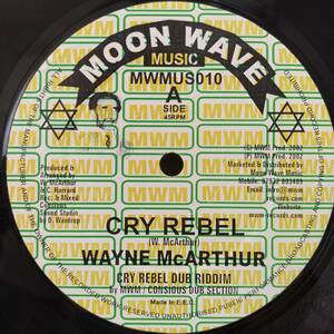 Wayne McArthur / Cry Rebel - Words Of Jah Message　[Moon Wave Music - MWMUS010]