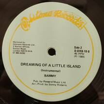 Judy Boucher / Dreaming Of A Little Island　[ Orbitone Records - D-ORB 10-A]_画像2