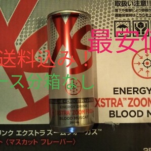 2ケース分(48本)Xsエナジードリンク エクストラズームフォーカス マスカットフレーバー アムウェイ 賞味期限5ヶ月以上!