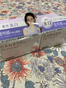 カナデル プレミアホワイト オールインワン 58g×2 (医薬部外品)