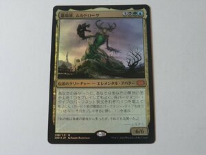 MTG 美品 【墓場波、ムルドローサ（FOIL）】 （神話レア） 2X2 日 1枚迄