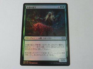 MTG 美品 【永遠の証人（FOIL）】 （アンコモン） 2X2 日 5枚迄