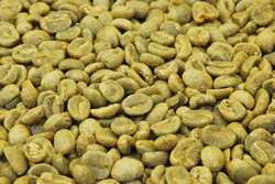 【１０㎏】コーヒー生豆 コロンビアＳｗｅｅｔ ＆ Ｆｌｏｗｅｒｓ プレミアムコーヒー 送料無料