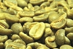 【１㎏】コーヒー生豆 パプアニューギニア　フィニステラＡＡ プレミアム 送料無料