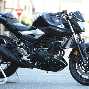 新品('15~'21) MT-25 MT-03 LED フェンダーレス BK Ver. 送料無料