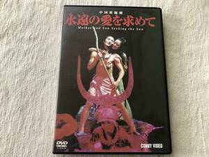 DVD　　　『中国舞踊劇　永遠の愛を求めて』　　 　DNN-1149