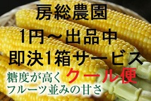 ①即決は1箱サービス！１円～生でもOK！朝採れのゴールドラッシュ又は味来・クール便にて！約5キロ・7月9日・土曜日終了_画像1