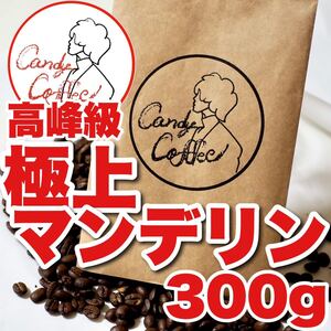 極上 マンデリン インドネシア G1 珈琲豆 コーヒー豆 自家焙煎 深煎り 香り コク 濃厚チョコレート 大容量300g 送料無料 コーヒー 珈琲