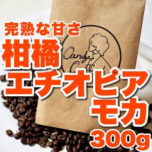 珈琲の貴婦人 Candy Coffee 自家焙煎 コーヒー豆 エチオピア モカ 珈琲豆 最高品質 満足な逸品 モカ シダモ イリガチェフェ 焙煎後300g
