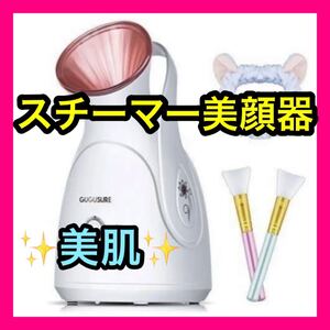 【新品未使用】スチーマー美顔器 フェイススチーマー 顔 美肌スチーマー