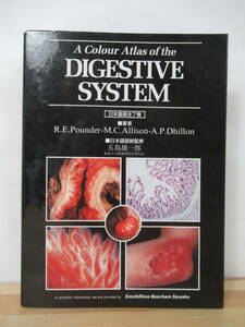 s04●A Colur Atlas of the Digestive System 日本語版 1-6巻不揃セット 五島雄一郎 出月康夫 バインダー 医学書 消化器系 正常胃 220706