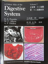 s04●A Colur Atlas of the Digestive System 日本語版 1-6巻不揃セット 五島雄一郎 出月康夫 バインダー 医学書 消化器系 正常胃 220706_画像5