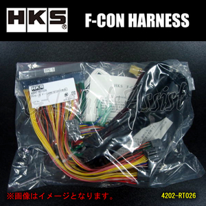 HKS F-CON iS/F-CON V Pro HARNESS ハーネス ランサーエボリューションVI CP9A 4G63 99/01-01/01 MP5-2 4202-RM009 EVO6