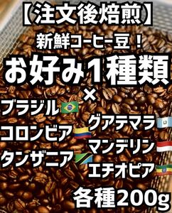 【匿名配送】自家焙煎コーヒー豆　珈琲豆　お好み豆1種　200g 約20杯分