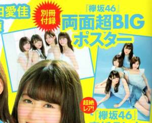 ボム BOMB 2017年8月号 付録 欅坂46 両面超BIGポスター