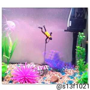 ヤフオク おしゃれ 水槽の中古品 新品 未使用品一覧 ヤフオク おしゃれ 水槽の中古品 新品 未使用品一覧