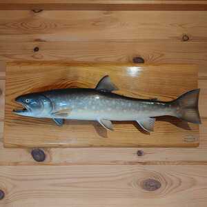 魚 剥製の値段と価格推移は 716件の売買情報を集計した魚 剥製の価格や価値の推移データを公開 魚 剥製の値段と価格推移は 716件の売買情報を集計した魚 剥製の価格や価値の推移データを公開