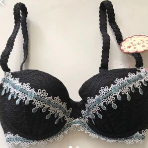 トリンプ AMO'S STYLE ブラ D65