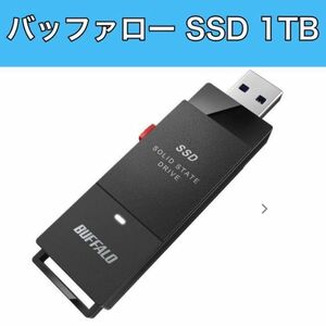 バッファロー USB対応 ポータブルSSD 1.0TB