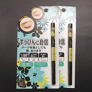 アイブロウST×2本 眉墨 ディープダークブラウン セルフタンニング 定価4,180円