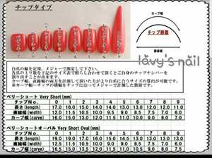 サンプルチップ　サイズ確認用