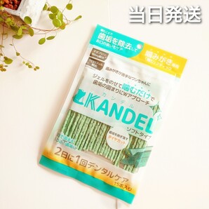 *当日発送* カンデル 15本入り 【新品未開封】 Dr.WANDEL
