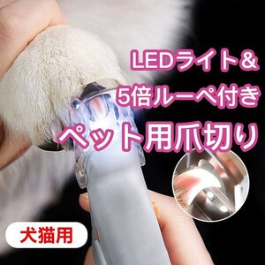 ペット用 爪切り LEDライト&5倍ルーペ付き 犬 猫 イヌ・ネコ 拡大鏡 トリミング