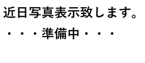 1ロ【仙C定＃R３０７セサ030615-40】バックホーラバーピン各１０セット22タイプ　22LK/22PN型