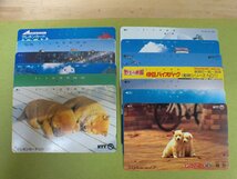 使用途中 おまとめ 穴あき 使いかけ 残有 テレホンカード テレカ 50度 105度 50枚 50以上2枚 100以上3枚 30以上19枚他 非課税商品_画像8